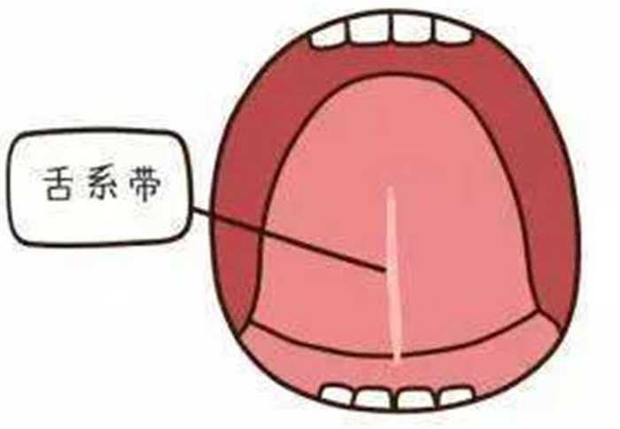 下载1.png